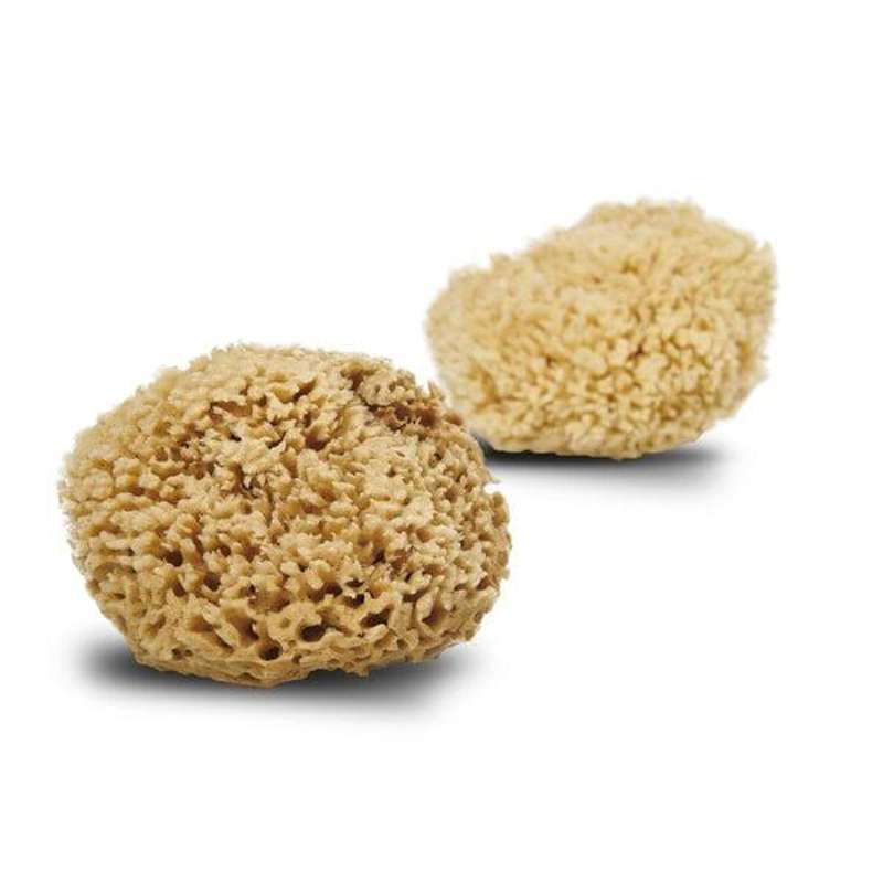 Cocoon Company Honeycomb Wool sponge 13-14 cm