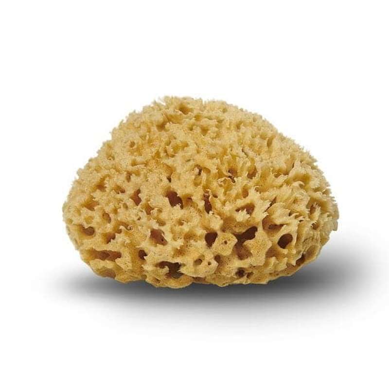 Cocoon Company Honeycomb sponge - 10-11 cm.