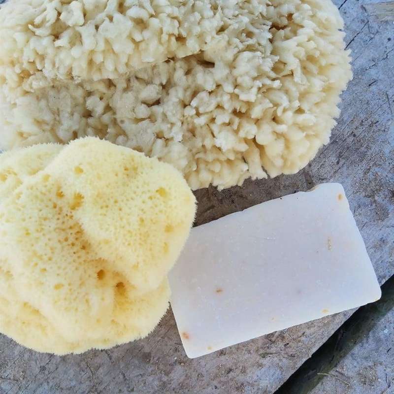 Cocoon Company Silk Sponge - 10-11 cm